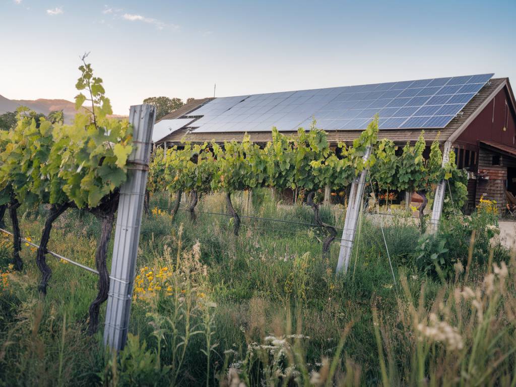 "Les impacts de l’agrivoltaïsme sur la biodiversité et la qualité des sols"