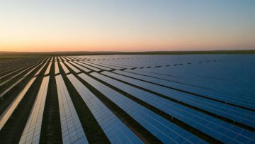 L’agrivoltaïsme et les cultures en serre : une complémentarité à explorer pour maximiser rendement et énergie