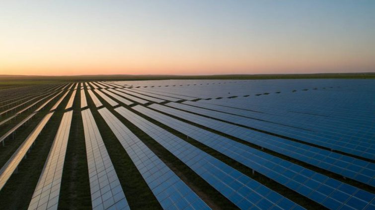 L’agrivoltaïsme et l’irrigation intelligente : comment les panneaux solaires peuvent optimiser la gestion de l’eau en agriculture